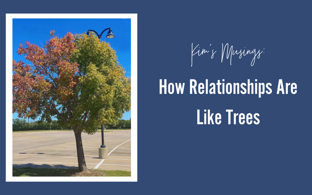 How Relationships Are Like Trees