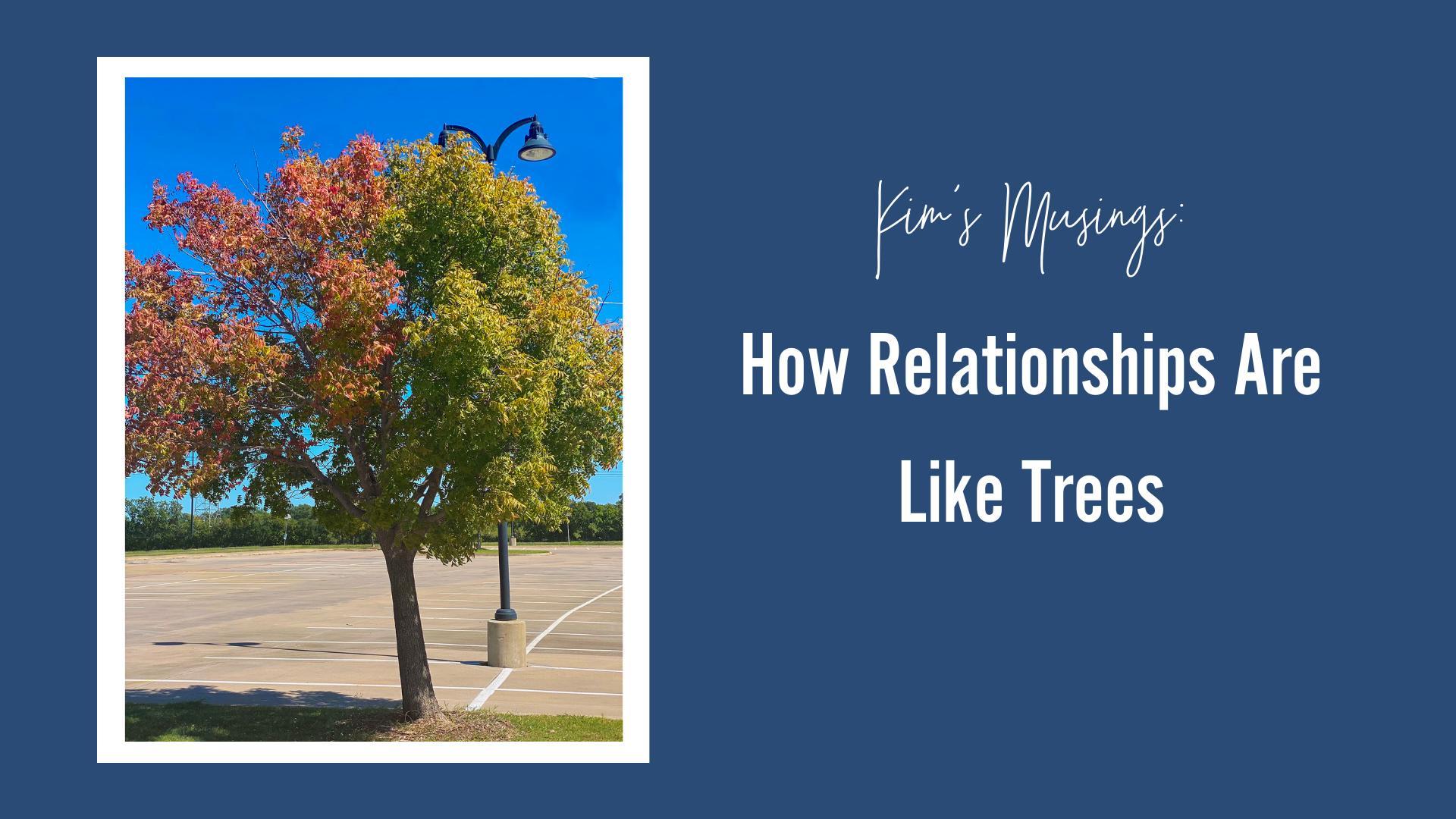 How-Relationships-Are-Like-Trees